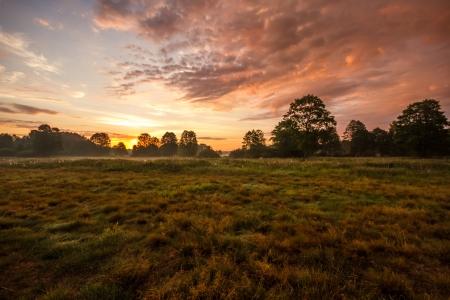 sunrise in green rural meadow, nature seriesの写真素材