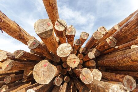 old grey wood textured for abstract backgroundのeditorial素材