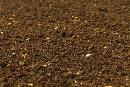 agricultural soilの写真素材