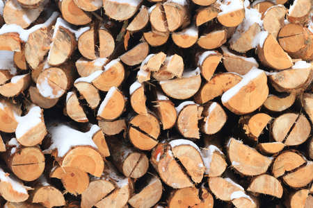 old grey wood textured for abstract background