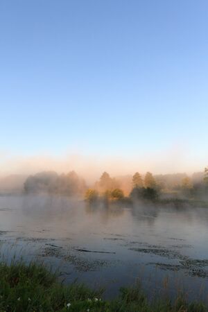 A rural small lake and a green forestの写真素材