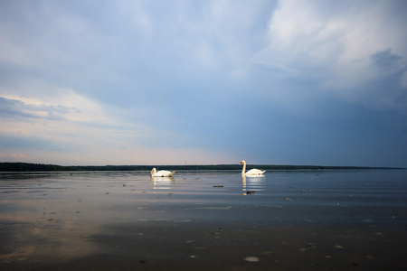 blue lake with cloudy sky, nature seriesの写真素材