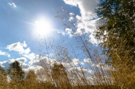 sun behind the clouds on a warm day, nature seriesの写真素材