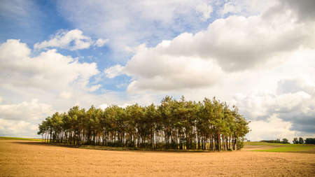 sun behind the clouds on a warm day, nature seriesの写真素材
