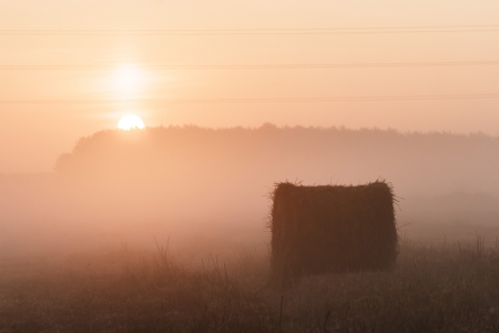 agricultural field, nature and agriculture farming seriesの写真素材