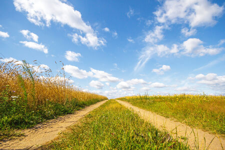 occurring yellow sun behind the clouds on a warm eveningの写真素材