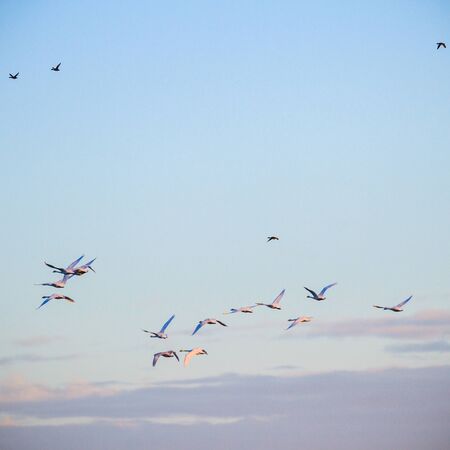 sun behind the clouds on a cold day, nature seriesの写真素材