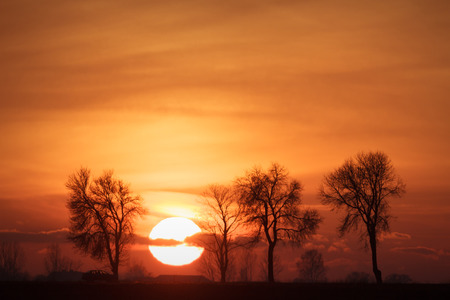 mystical sunrise in a forest on morning, nature seriesの写真素材