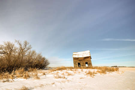 agricultural field, nature and agriculture farming seriesの写真素材