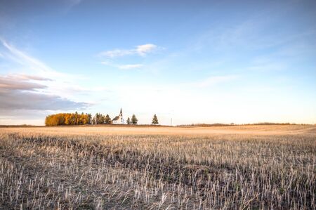 agricultural field, nature and agriculture farming seriesの写真素材