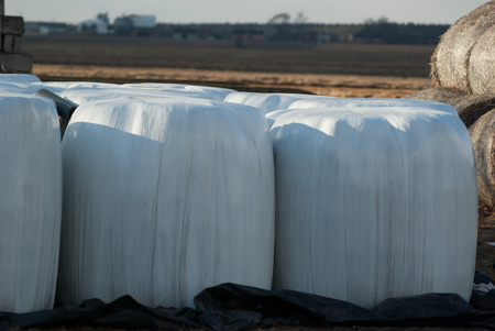silage, bales, hay bales, plastic wrap cover for wheat cereal bales outdoorの写真素材