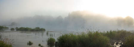 landscape with natural fogy river, nature seriesの写真素材