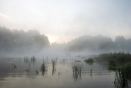 landscape with natural fogy river, nature seriesの写真素材