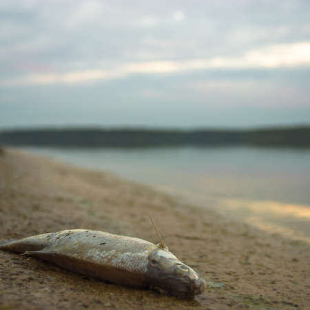 blue lake with cloudy sky, nature seriesの写真素材