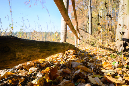 Old wooden boundary fence with nails on sunny dayの写真素材