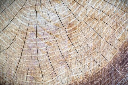 old wood texture backgroundの写真素材