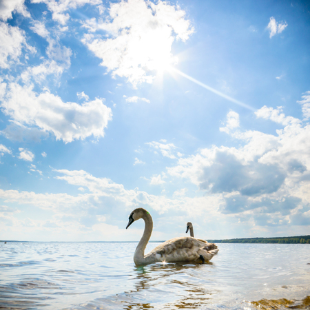 blue sky, natural clouds, nature seriesの写真素材