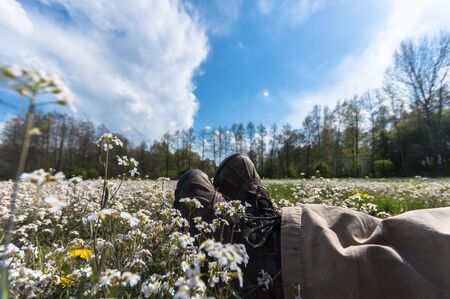 natural green colorful rural meadow, nature seriesの写真素材