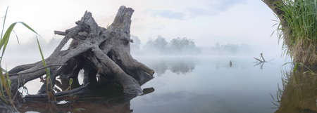 landscape with natural river, nature seriesの写真素材