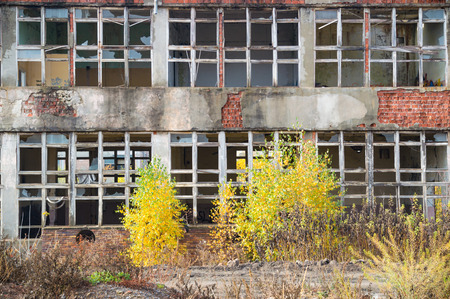 discarded ruin with old windows and wall, industrial window in concrete wallの写真素材