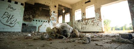 ruins of a very heavily polluted industrial factory, industrial seriesの写真素材