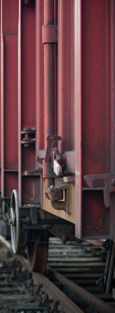 view of the railway track on a sunny day
