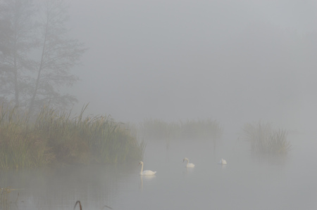 landscape with natural river, nature seriesの写真素材