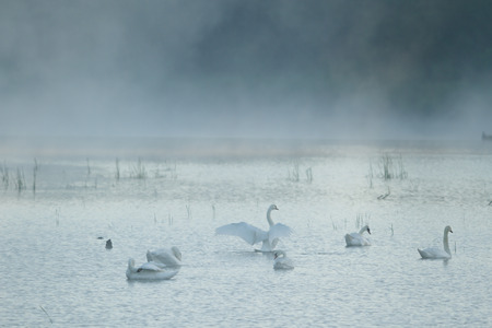 landscape with natural river, nature seriesの写真素材