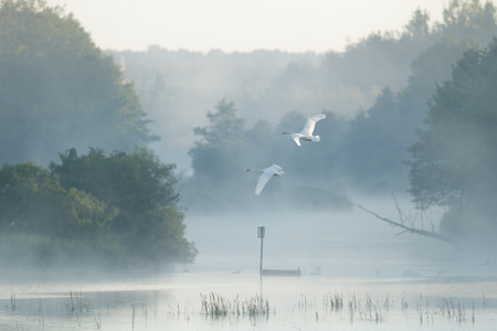 landscape with natural river, nature seriesの写真素材