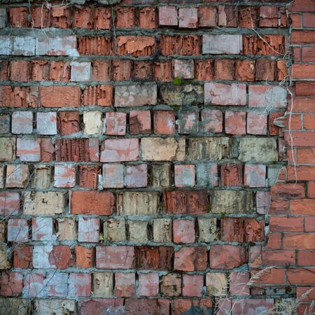 ruins of a very heavily polluted industrial factory, industrial seriesの写真素材