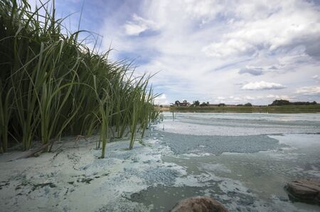 blue lake with cloudy sky, nature seriesの写真素材