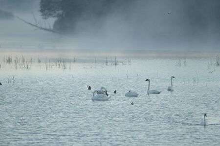 landscape with natural river, nature seriesの写真素材