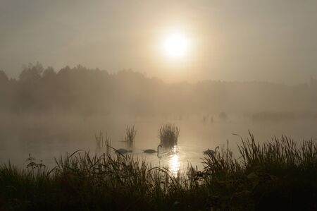landscape with natural river, nature seriesの写真素材