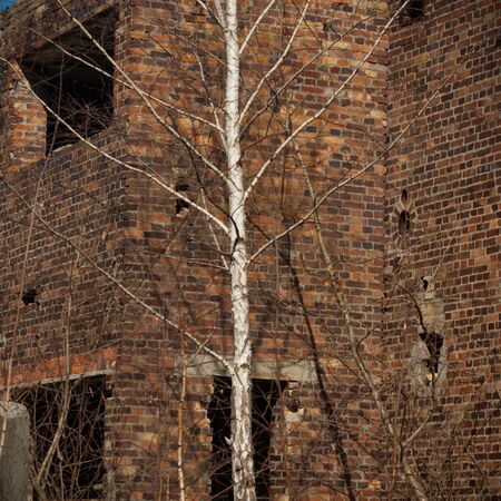 ruins of a very heavily polluted industrial factory, industrial seriesの写真素材
