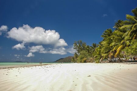 beautiful view of the island beachの写真素材
