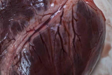 sinuous red meat cut linesの写真素材