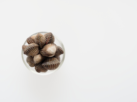 A group of raw cockle, ark shell, in a glass bowl isolated on white background