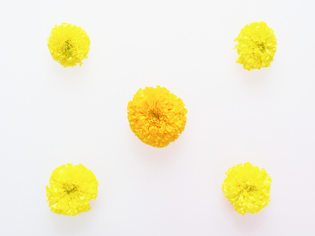 Yellow and orange marigold flower flat laid in star shape isolated on white backgroundの写真素材