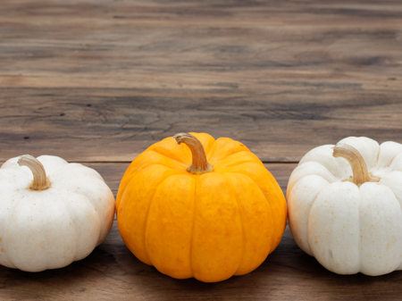 White and orange pumpkins put horizontally on dark wooden background show colorful pattern and scale used in Halloween, still life, kitchen, and comparison, and country themesの写真素材