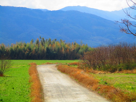 roadの写真素材