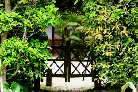 japanese style architectureの写真素材