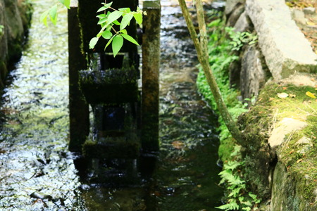 korakuen garden