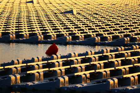 solar panelの写真素材