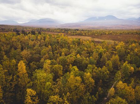 Aerial sunny fall autumn view of Abisko National Park, Kiruna Municipality, Lapland, Norrbotten County, Sweden, shot from drone, with Abiskojokk river, road and Nuolja mountainの写真素材
