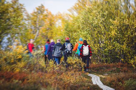 Sunny fall autumn view of Abisko National Park, Kiruna Municipality, Lapland, Norrbotten County, Sweden, with Abiskojokk river, road and Nuolja mountain, near border of Finland, Sweden and Norwayの写真素材