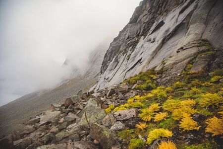 Norwegian mountain landscape during hiking to Halls Fortopp peak, with a view on Stetind, Northern...