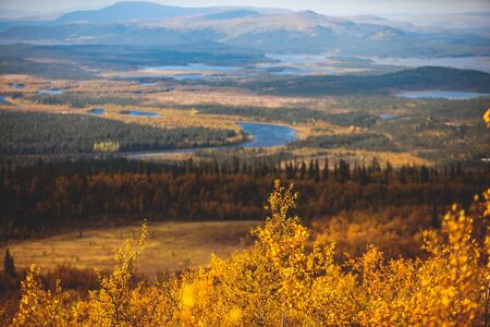 Swedish autumn fall vibrant landscape during hiking to Kurravaara mountain in Norrbotten county, Kiruna Municipality, Northern Swedenの写真素材