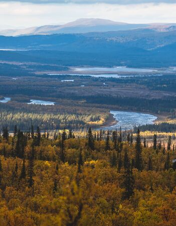 Swedish autumn fall vibrant landscape during hiking to Kurravaara mountain in Norrbotten county, Kiruna Municipality, Northern Swedenの写真素材