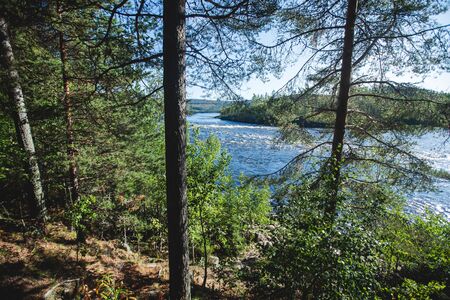 View of Kalix river, Kalixalven, Overkalix locality and the seat in Norrbotten county, Sweden, with forest in sunny summer day, aerial drone viewの写真素材