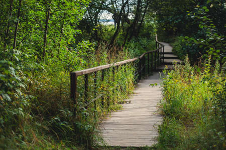 Aerial summer vibrant view of West Kotlin state nature reserve, ecological path trail with bird watching tower, Kotlin island, Kronstadt, Saint-Peterburg, Russiaの写真素材